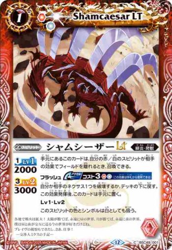 BSC49-001 C シャムシーザーLT(BSC49收錄/2025年度版)