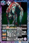 CB33-041 C タカヤ(CB33收錄/2025年度版)