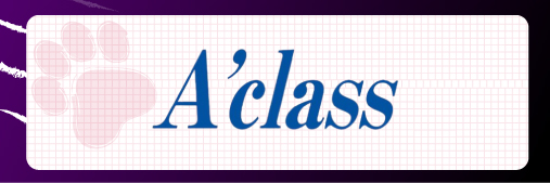 A'class