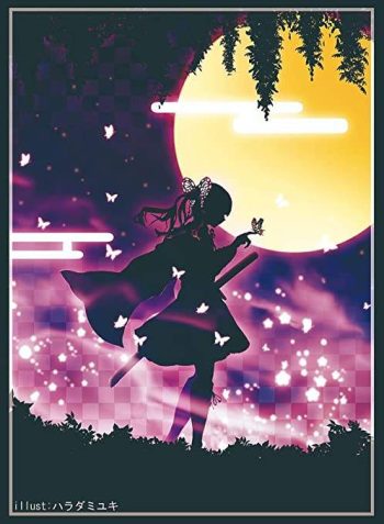 カナヲ 同人卡套