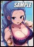nami 同人卡套