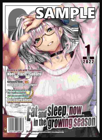 サンパン 雜誌風諾艾爾 同人卡套