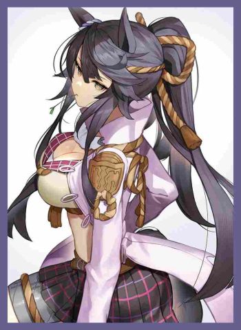 ナリタブライアン 同人卡套