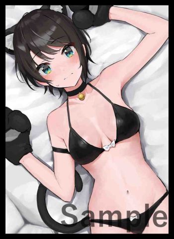 スバル 同人卡套