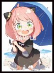 スバル 同人卡套