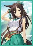 フラッシュ 同人卡套