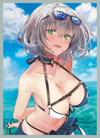 ノエル 同人卡套
