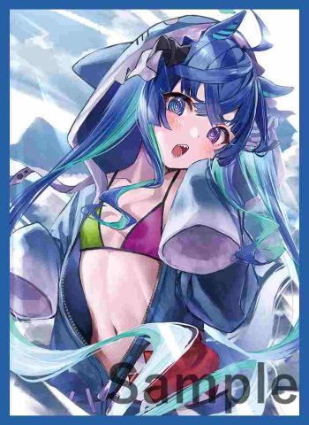 ターボ 同人卡套