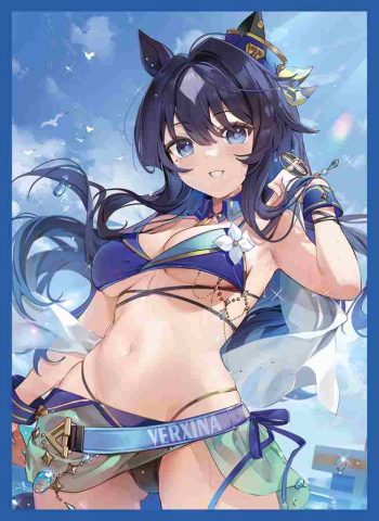 ヴィルシーナ 同人卡套