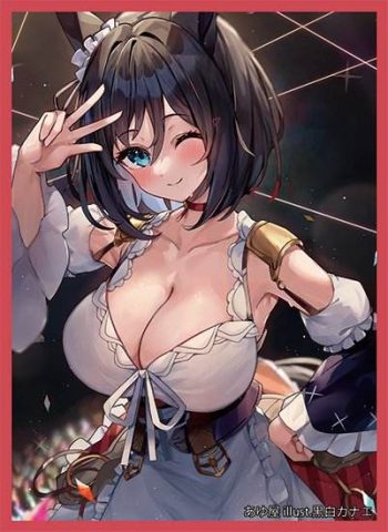 エイシンフラッシュ 同人卡套