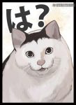 Huh Cat 同人卡套