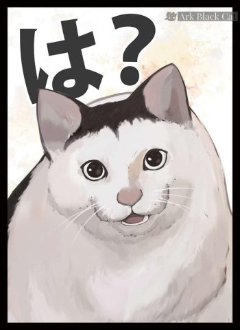 Huh Cat 同人卡套