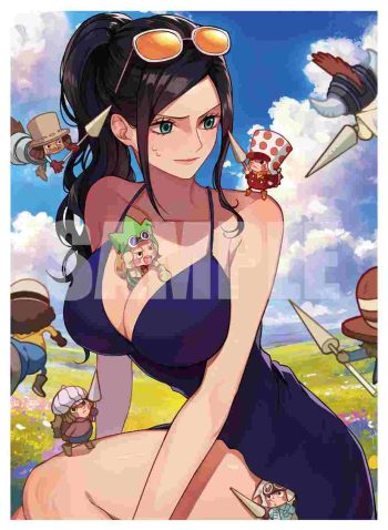 ROBIN 同人卡套