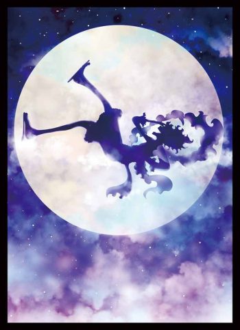 Luffy 同人卡套