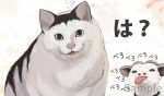 カフカ 同人卡墊