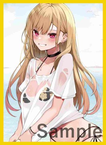 海夢 同人卡套