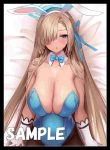 シロコ 同人卡套