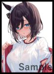 ラミィ 同人卡套