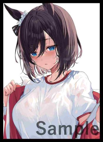 フラシュ 同人卡套