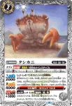 (有紋)BS64-031 R タシカニ(LM2024收錄/2024年度版)