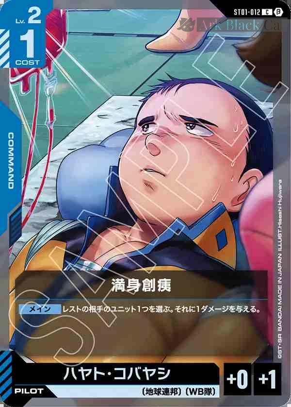 gcg-st01-012-p2 ST01-012 C 滿身瘡痍(LIMITED BOX Ver.β【β】)