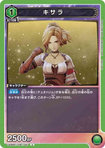 UA06BT/TOA-1-041 C 奇莎蘭