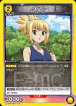 UA14BT/DST-1-017 C コハク