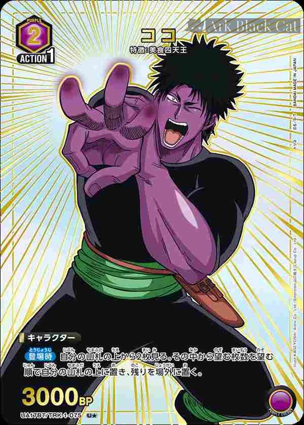 ua-ua17bt-trk-1-075-p1 (異畫)UA17BT/TRK-1-075 U★ ココ
