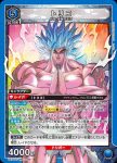 UA17ST/TRK-1-106 SR トリコ