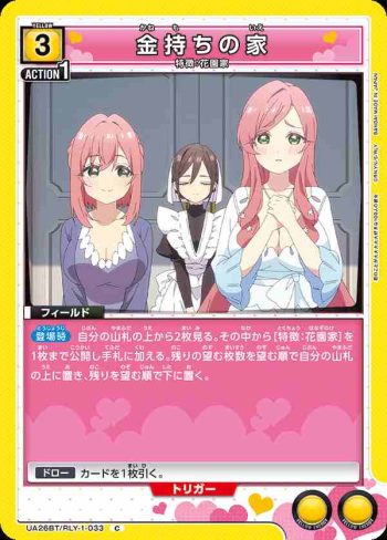 UA26BT/RLY-1-033 C 有錢人的家