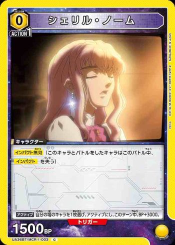 UA36BT/MCR-1-003 C 雪莉·諾姆