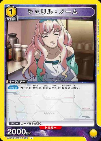 UA36BT/MCR-1-005 U 雪莉·諾姆