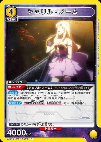 UA36BT/MCR-1-009 R 雪莉·諾姆