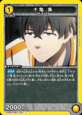 UA38BT/WBK-1-009 C 十龜 條