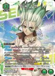 UAPR/DST-P-003 PR 石神 千空