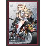 Bushiroad 卡盒 Vol.364 A3！『秋組』
