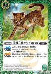 BS42-027 C 王獣一族タケノコドコド(BS42收錄/2017年度版)