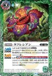 BS54-023 C 西の大樹ワーズワース(BS54收錄/2020年度版)