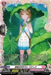 DZ-BT04/FR47 雨傘の代わりに クチェク