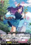 DZ-BT05/116 山吹色の歌 ドミティラ