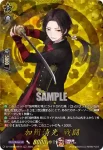 DZ-TB02/TRR 46 加州清光 特