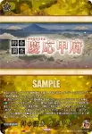 DZ-TB02/TRR164 特命調査 慶応甲府