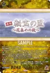DZ-TB02/TRR164 特命調査 慶応甲府
