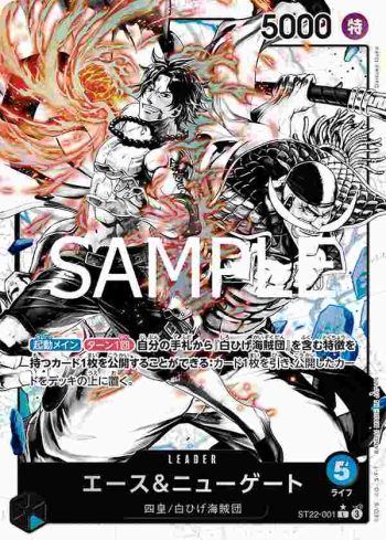 (異畫)ST22-001 L 艾斯＆紐蓋特(艾斯&紐蓋特【ST-22】)