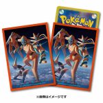 卡套 -ゾロアーク（ヒスイのすがた）-【寶可夢集換式卡牌遊戲】