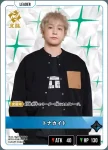 BP02-008 LR トナカイト