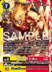 P-191 P 阿波羅獸ACE(馴獸師對戰包 28)