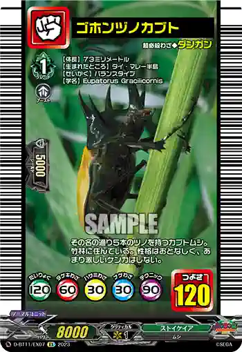 D-BT11/EX07 ゴホンヅノカブト