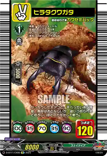 D-BT11/EX08 ヒラタクワガタ