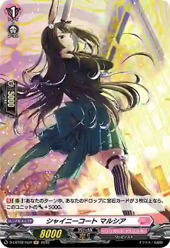 D-LBT02/H34 シャイニーコート マルシア